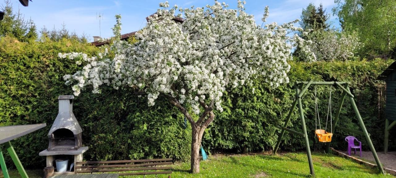 Cudodomek Na Mazurach W Woszczelach Kolo Elku Buitenkant foto